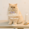 Load image into Gallery viewer, Home Grooming - PAWS
