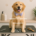 Load image into Gallery viewer, Home Grooming - PAWS
