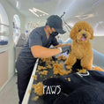 Load image into Gallery viewer, Home Grooming - PAWS
