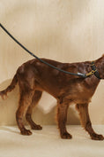 Load image into Gallery viewer, Dog Leash Pony - PAWS
