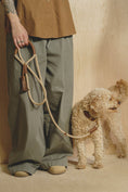 Load image into Gallery viewer, Dog Leash Pony - PAWS
