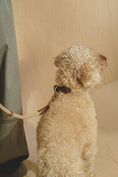 Load image into Gallery viewer, Dog Leash Pony - PAWS
