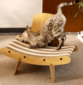 Load image into Gallery viewer, Dandruff Scratcher - PAWS
