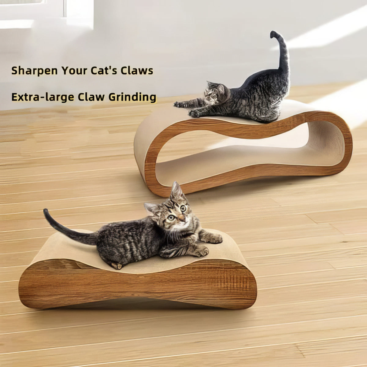 2 in 1 Cat Scratching Board - PAWS