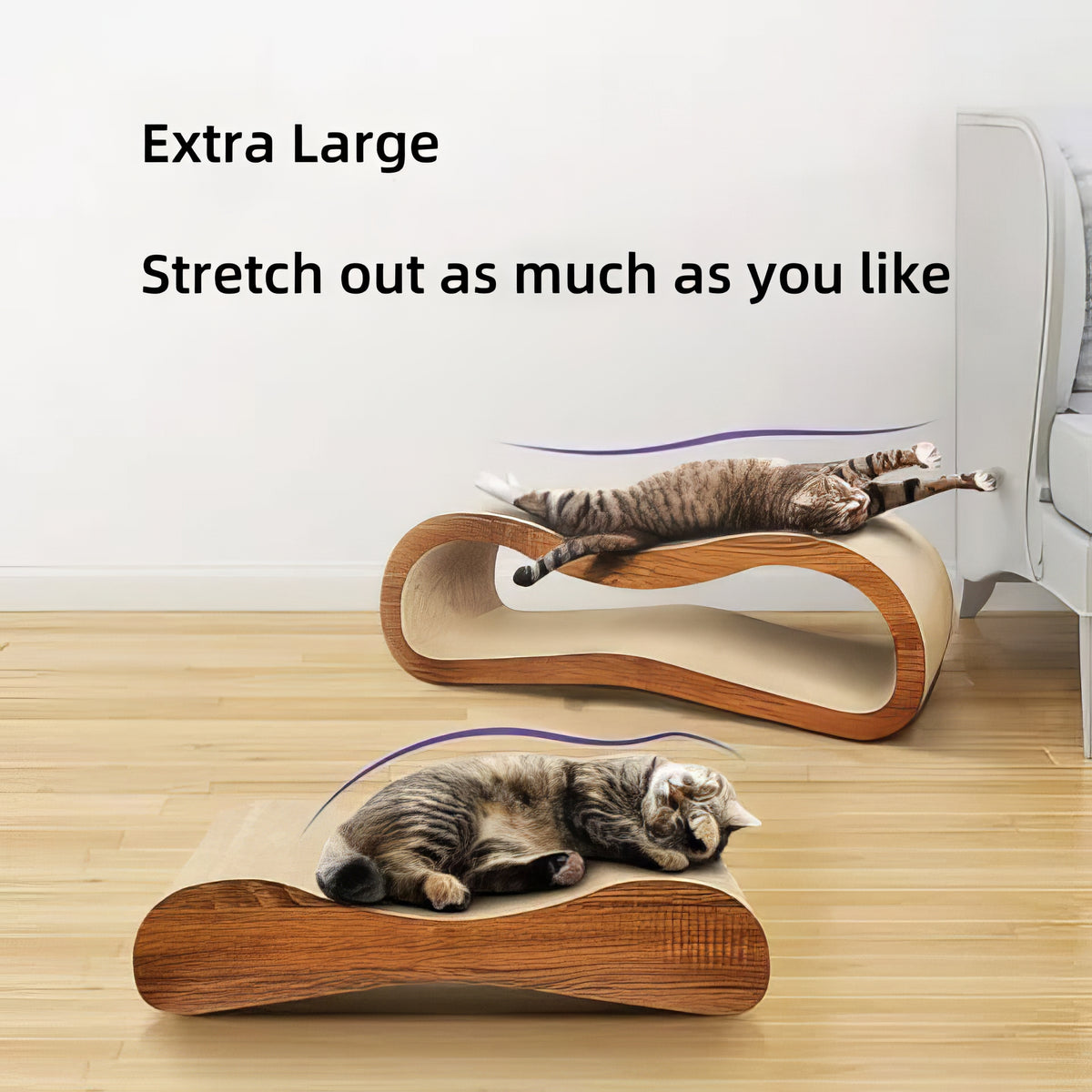 2 in 1 Cat Scratching Board - PAWS