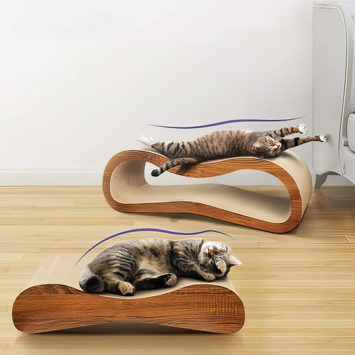 2 in 1 Cat Scratching Board - PAWS
