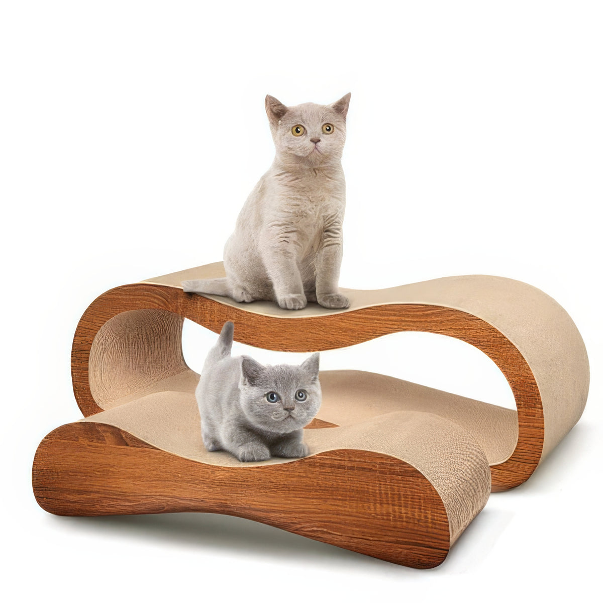 2 in 1 Cat Scratching Board - PAWS