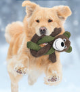 Load image into Gallery viewer, Bear Toy - PAWS

