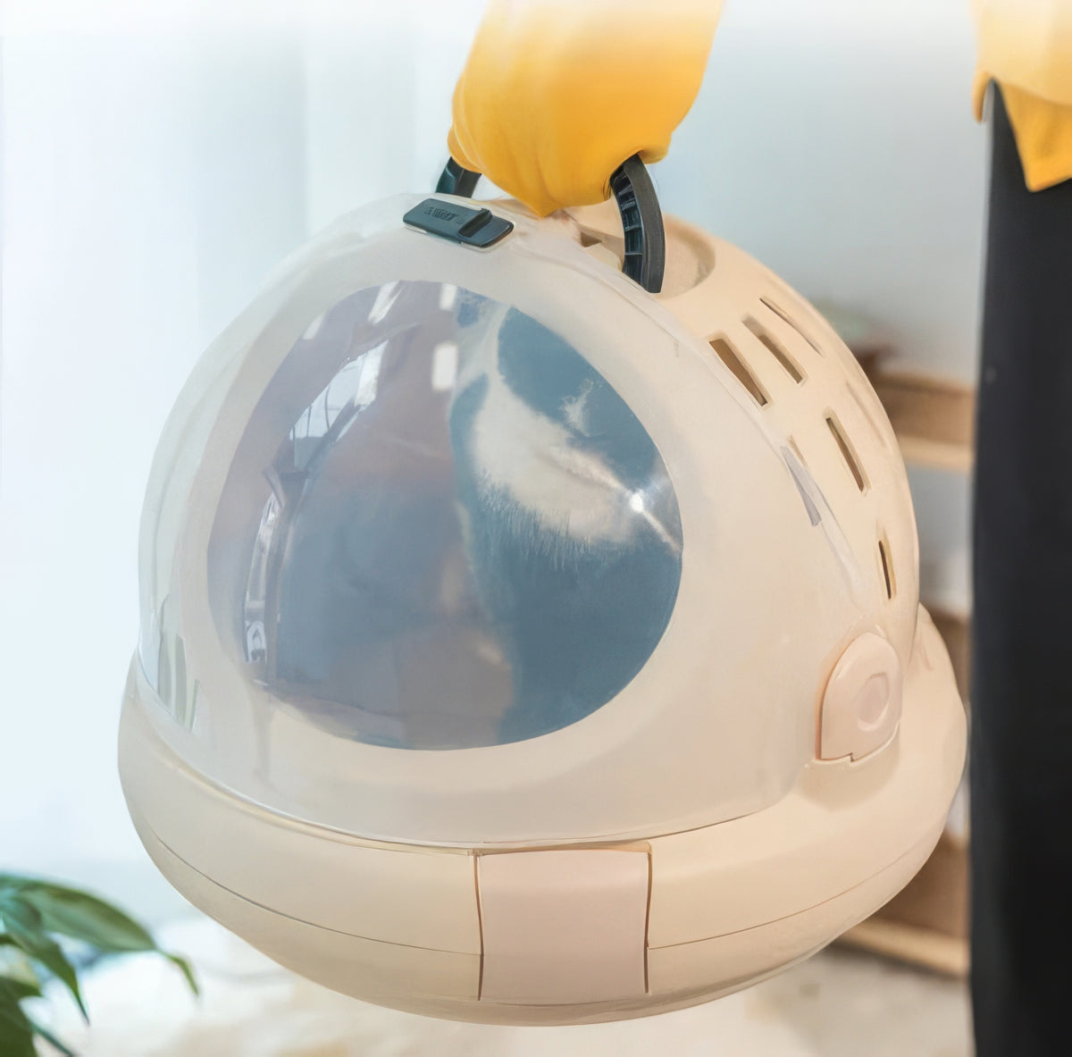 Capsule Cat Bed - PAWS