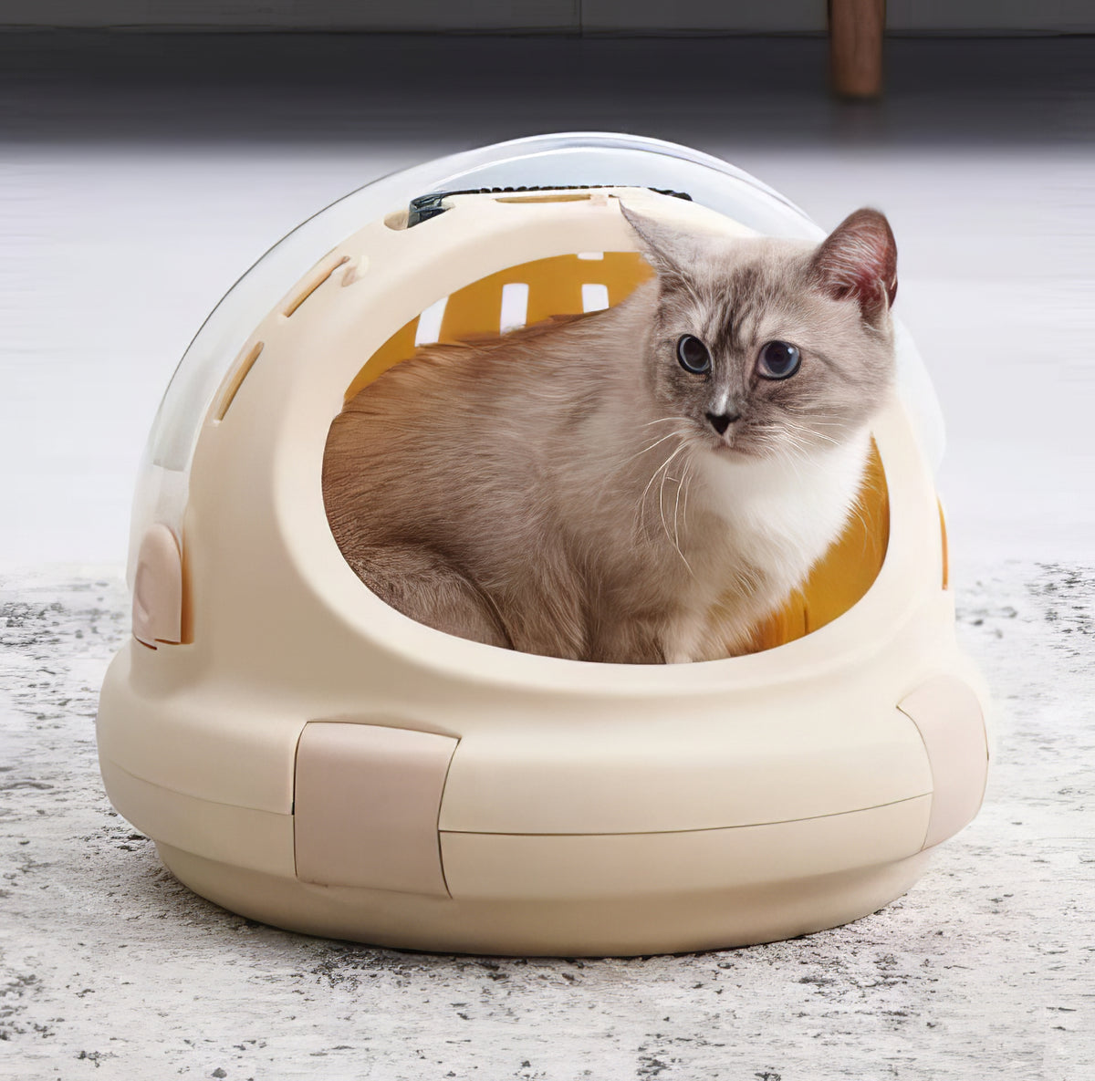 Capsule Cat Bed - PAWS