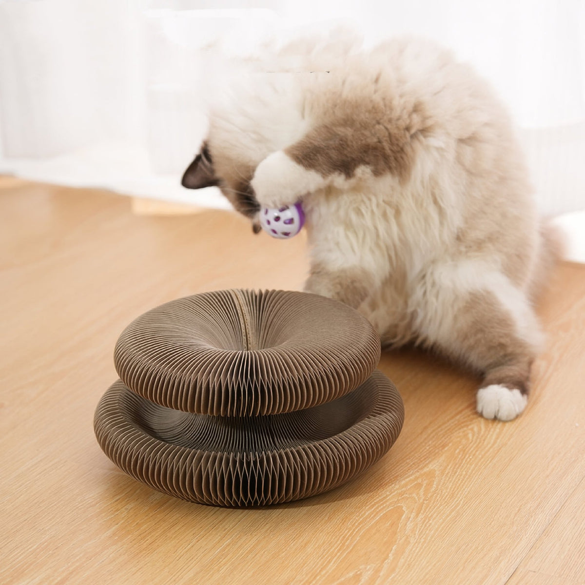 Cat scratching board - comes - PAWS