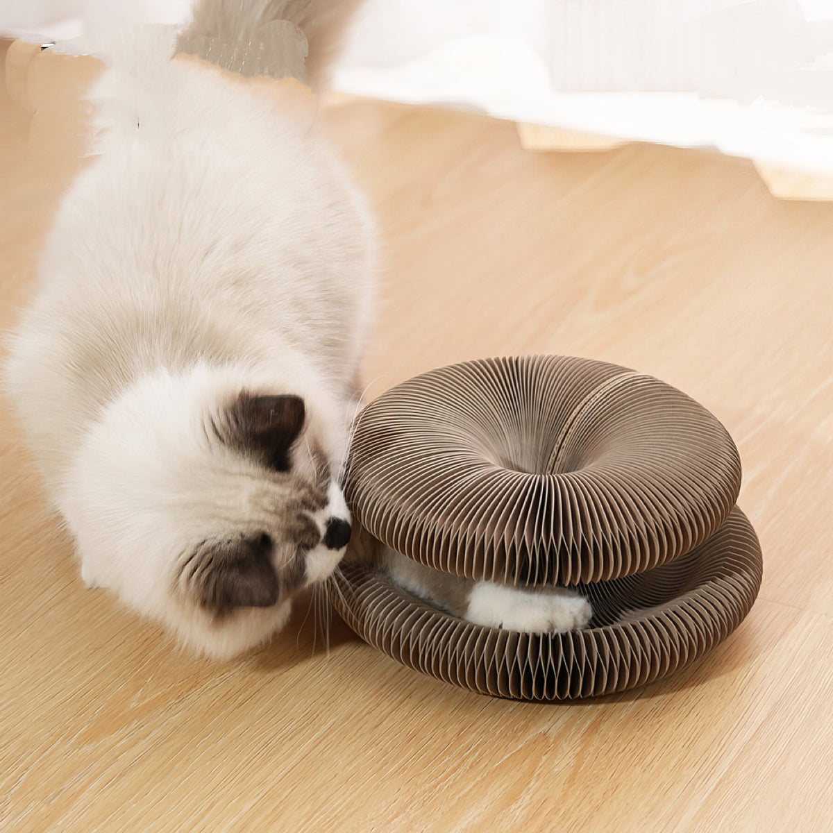 Cat scratching board - comes - PAWS
