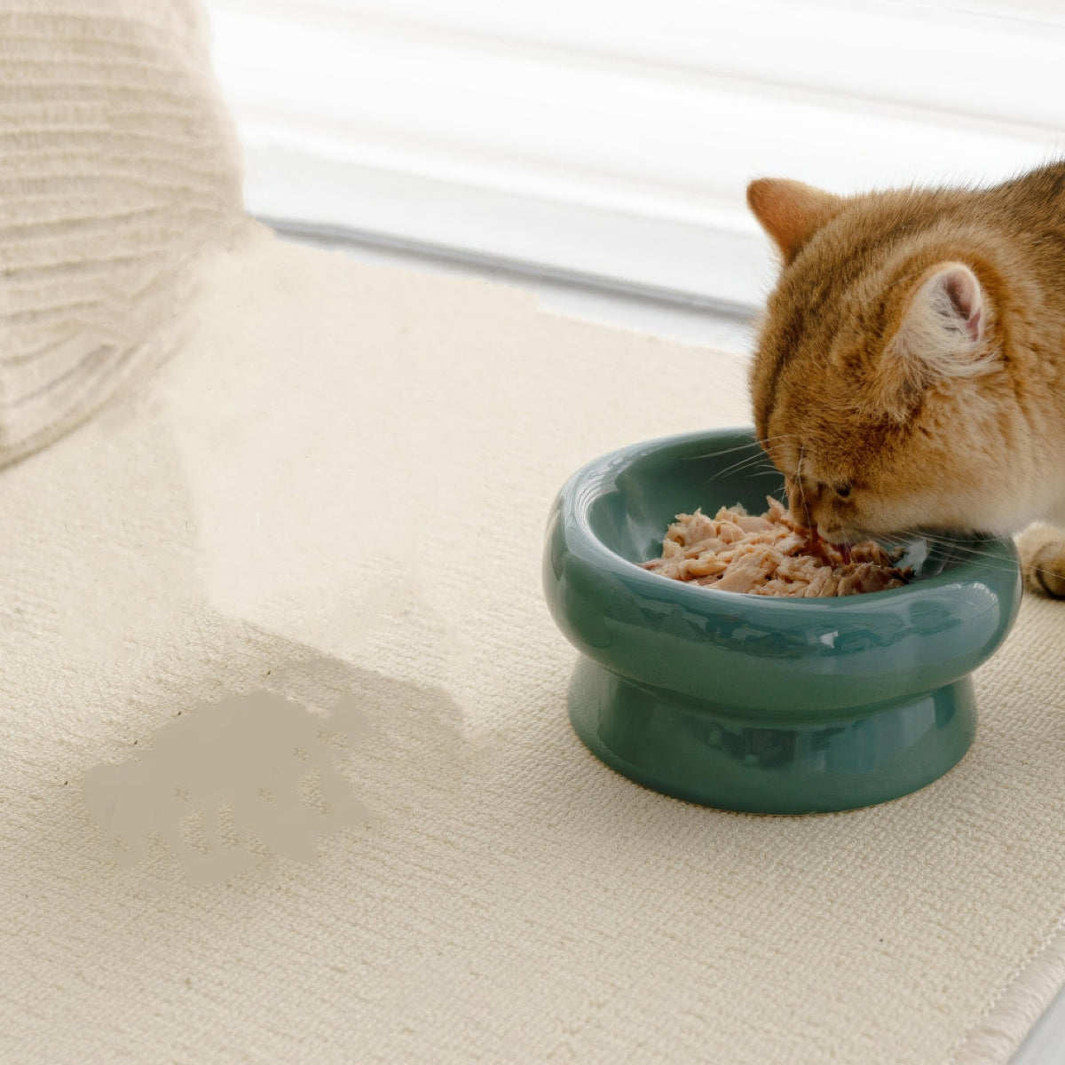 Ceramic Bowl - PAWS