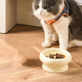 Load image into Gallery viewer, Ceramic Bowl - PAWS
