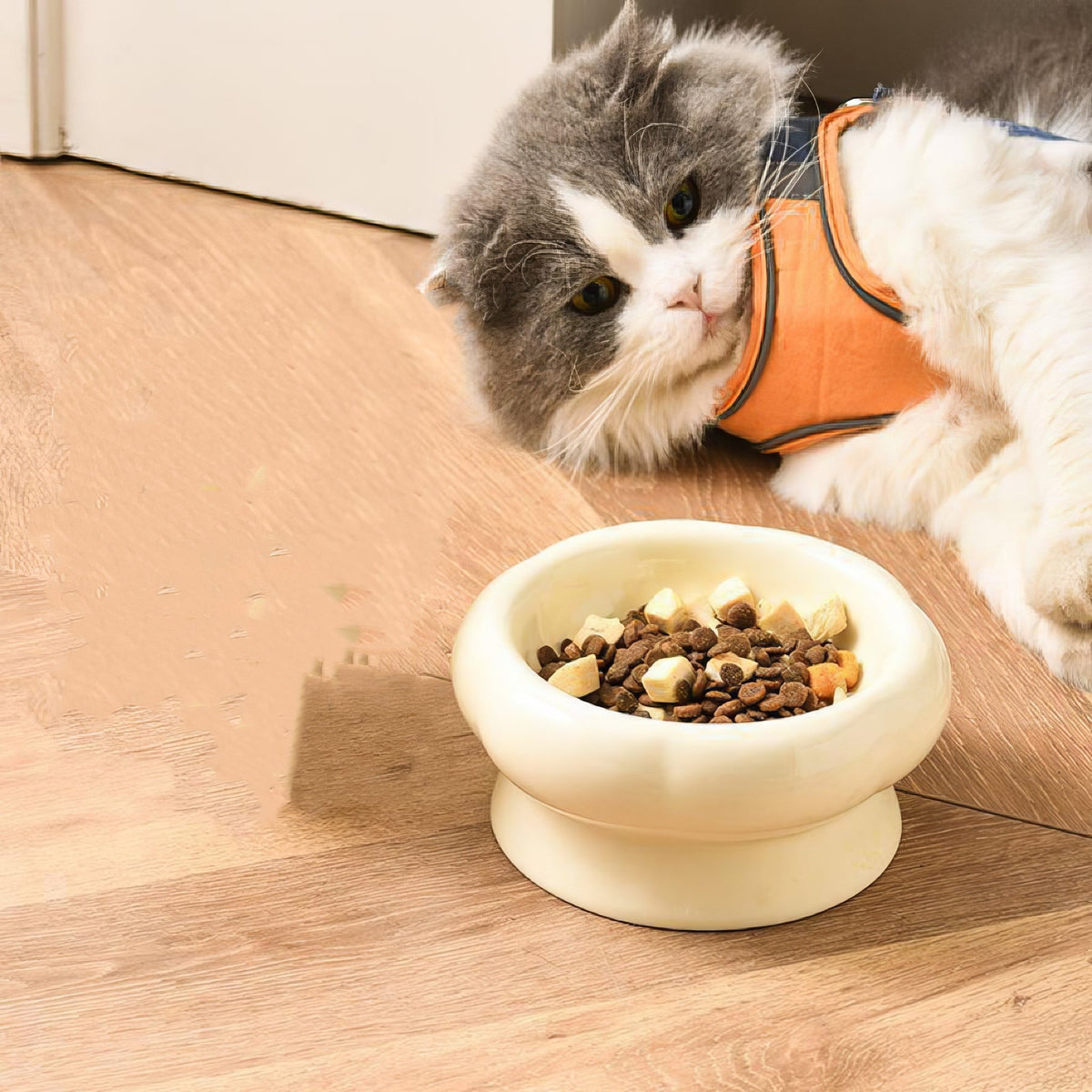 Ceramic Bowl - PAWS