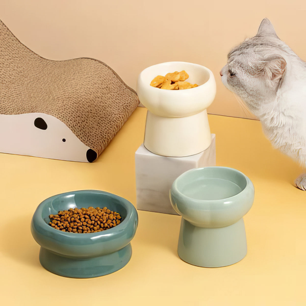 Ceramic Bowl - PAWS