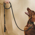 Load image into Gallery viewer, Dog Leash Pony - PAWS
