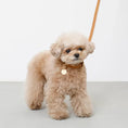 Load image into Gallery viewer, Leather Charm Collar - PAWS
