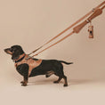 Load image into Gallery viewer, Leather Dog Leash - PAWS
