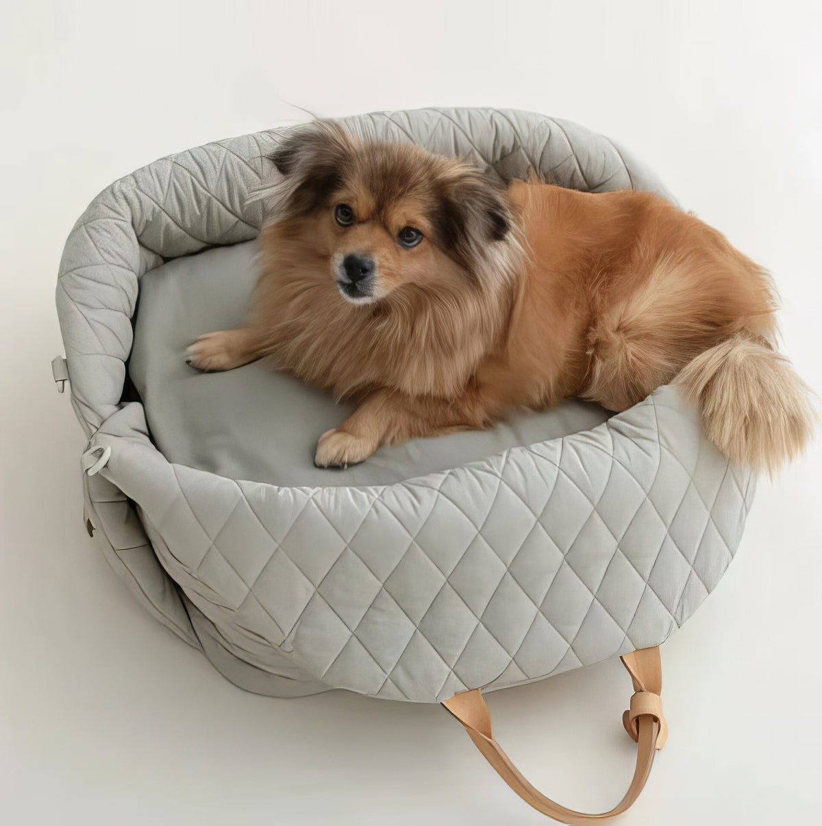 Mat Pet Seat - PAWS