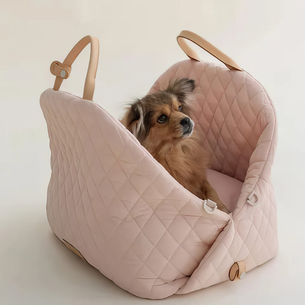 Mat Pet Seat - PAWS