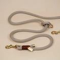 Load image into Gallery viewer, Premium Collar and Leash set - PAWS
