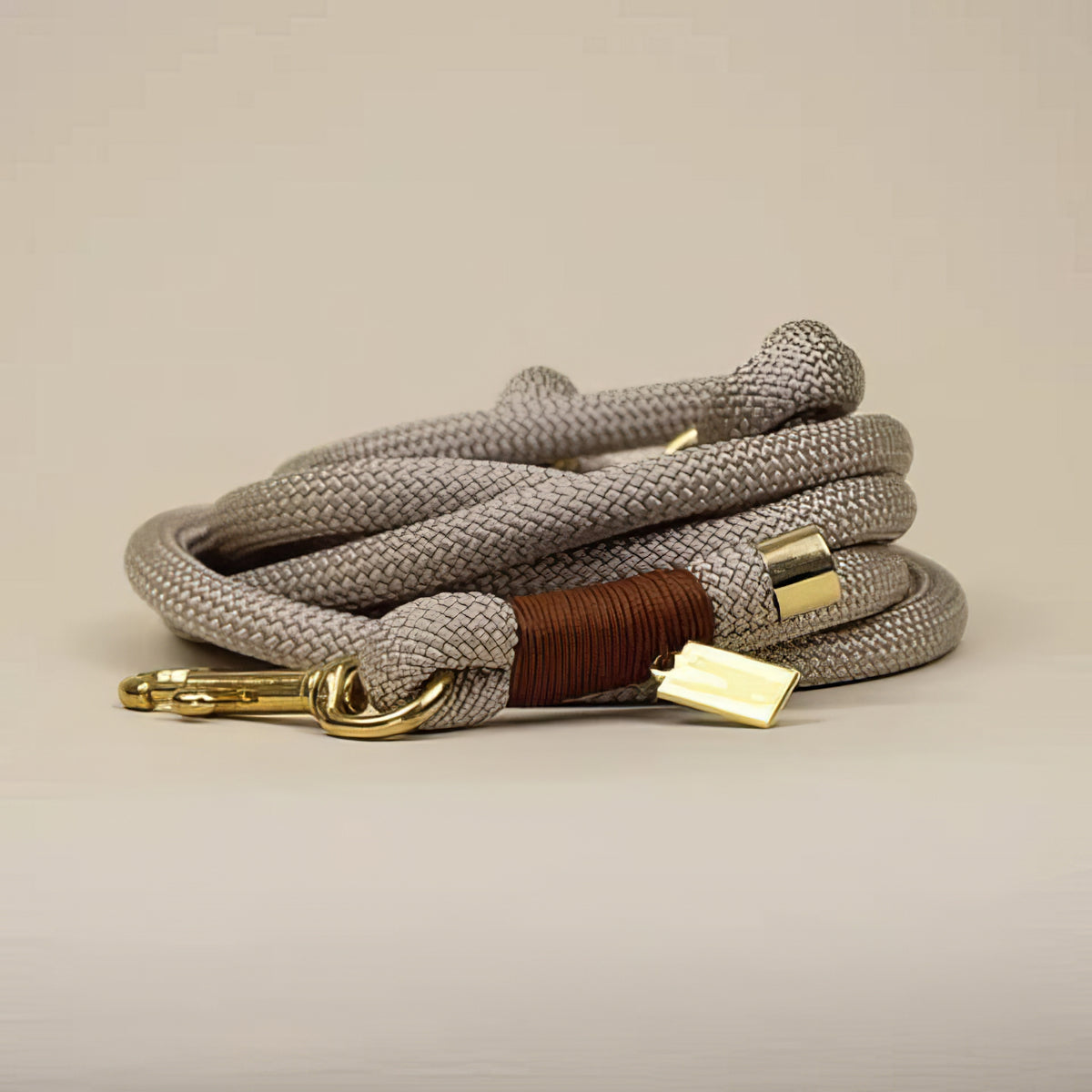 Premium Collar and Leash set - PAWS