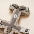 Load image into Gallery viewer, Teddy Dog Harness - PAWS
