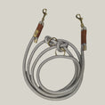 Load image into Gallery viewer, Premium Collar and Leash set - PAWS
