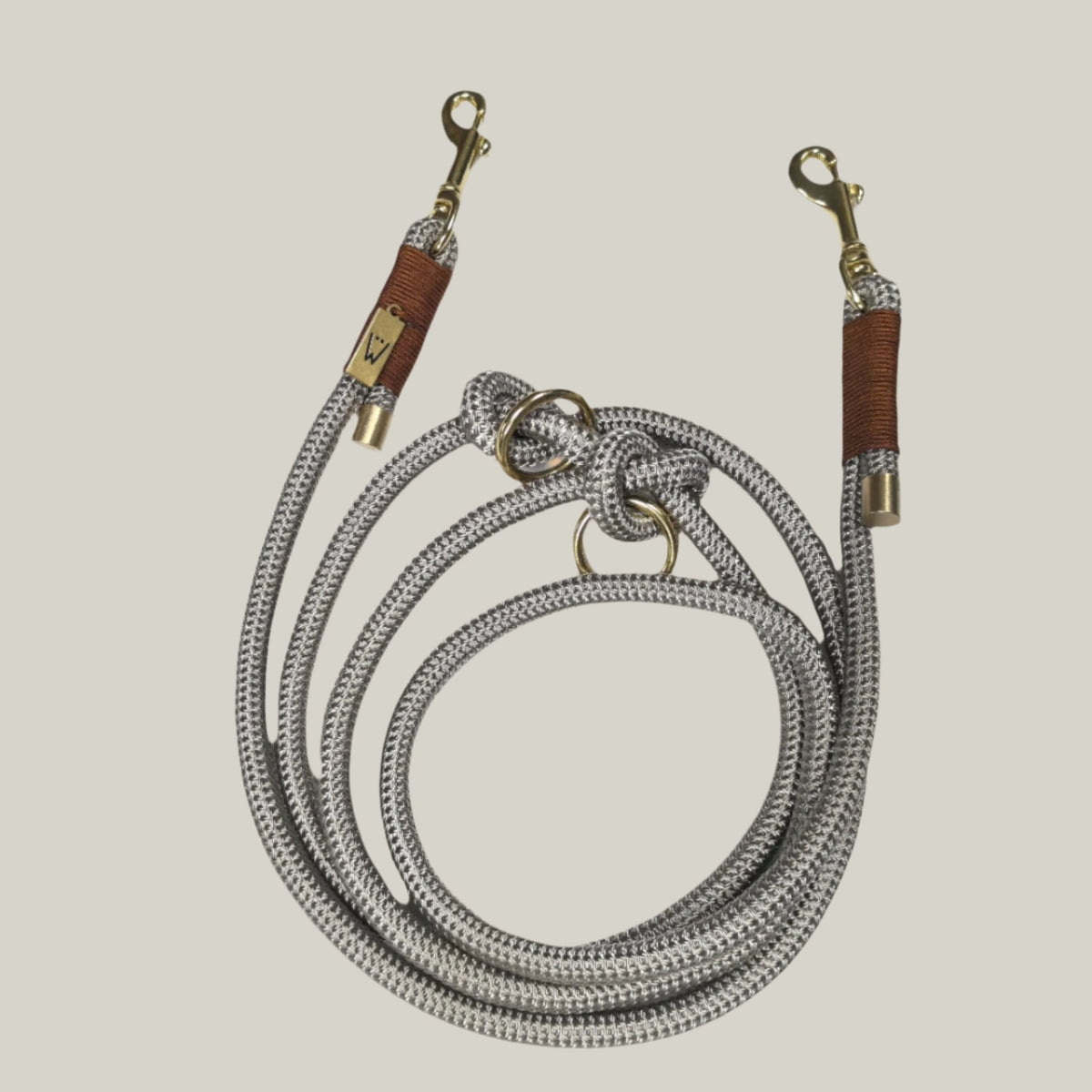 Premium Collar and Leash set - PAWS