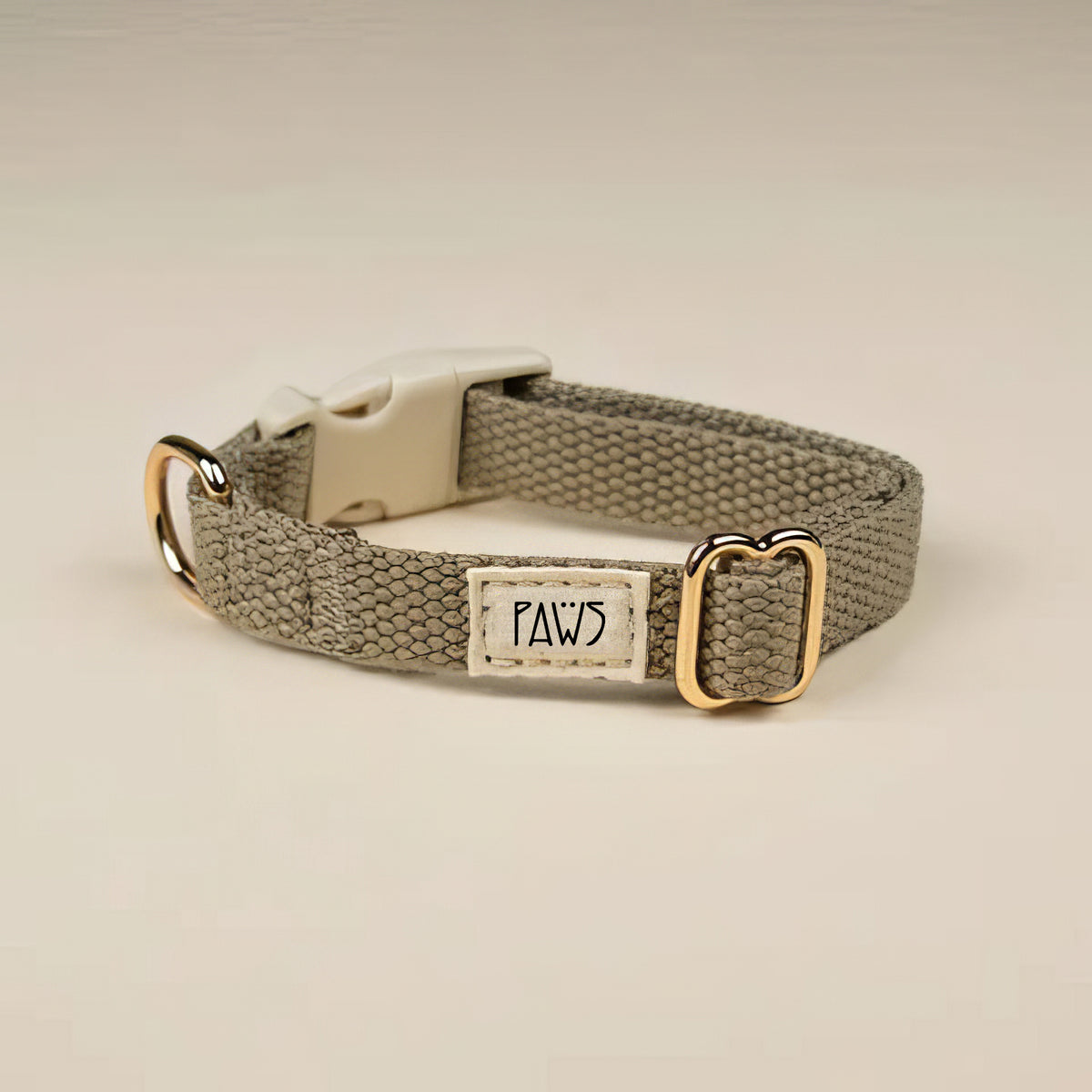 Premium Collar and Leash set - PAWS