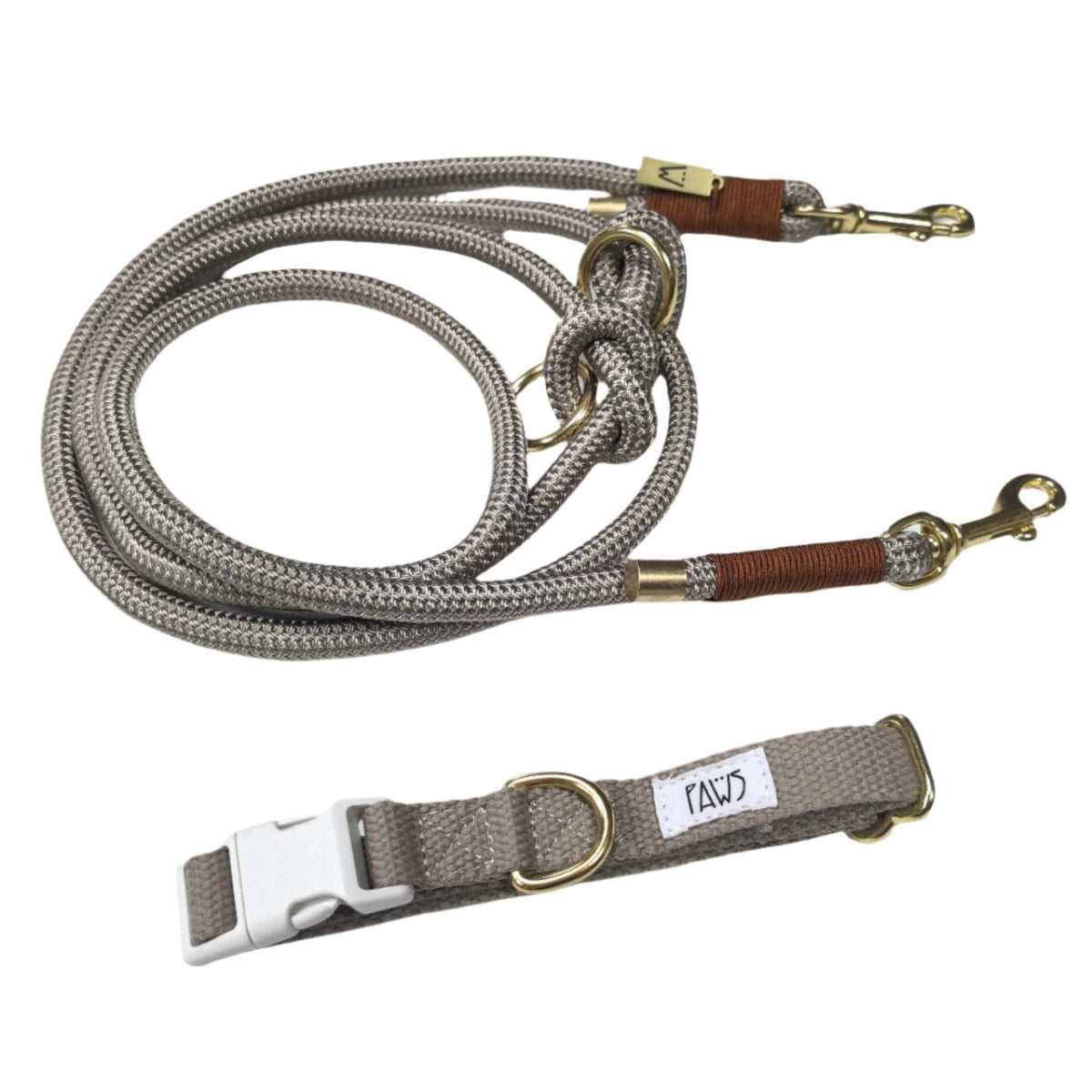 Premium Collar and Leash set - PAWS