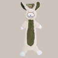 Load image into Gallery viewer, Rabbit Toy - PAWS
