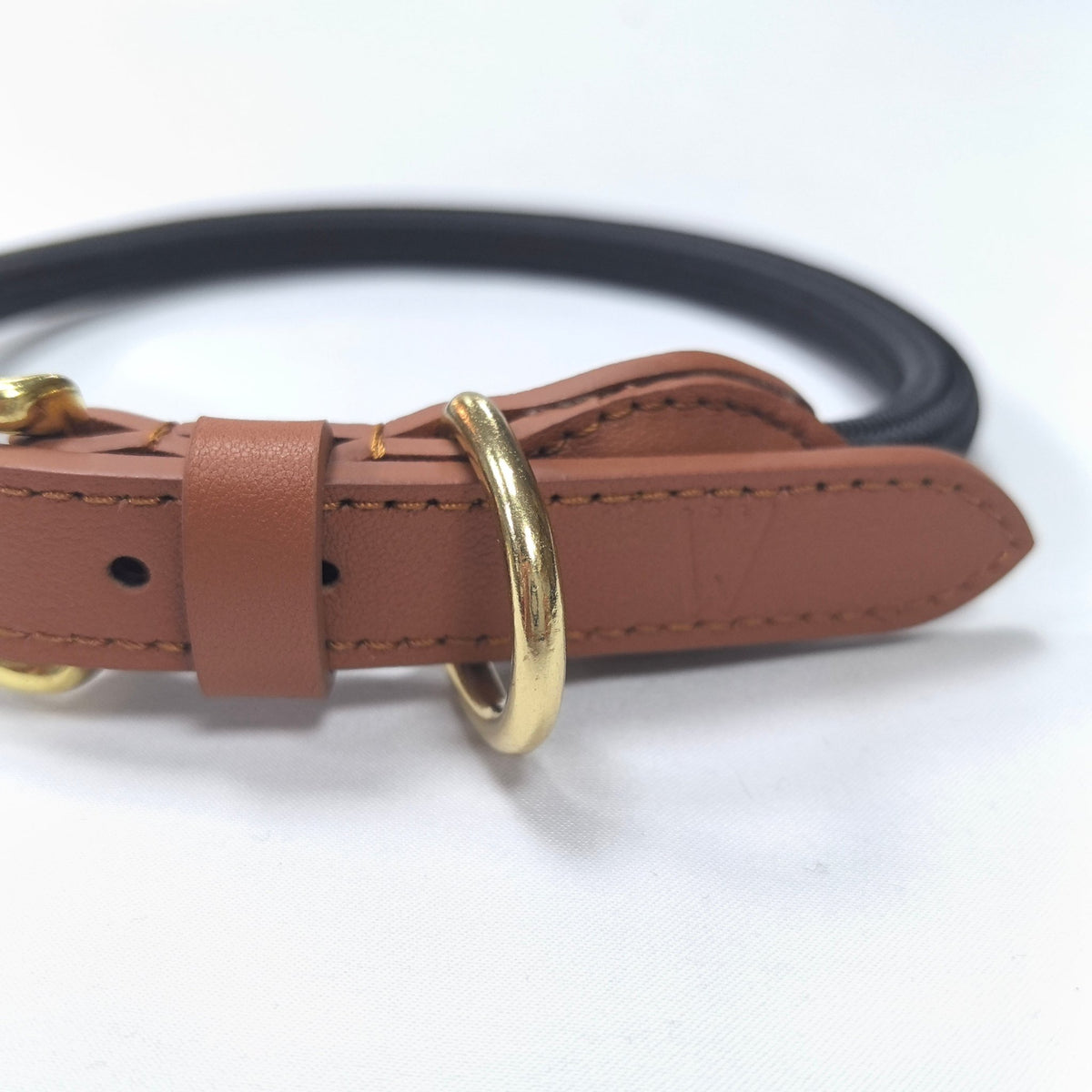 Rope Collar And Leash Set - PAWS