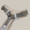 Load image into Gallery viewer, Teddy Dog Harness - PAWS
